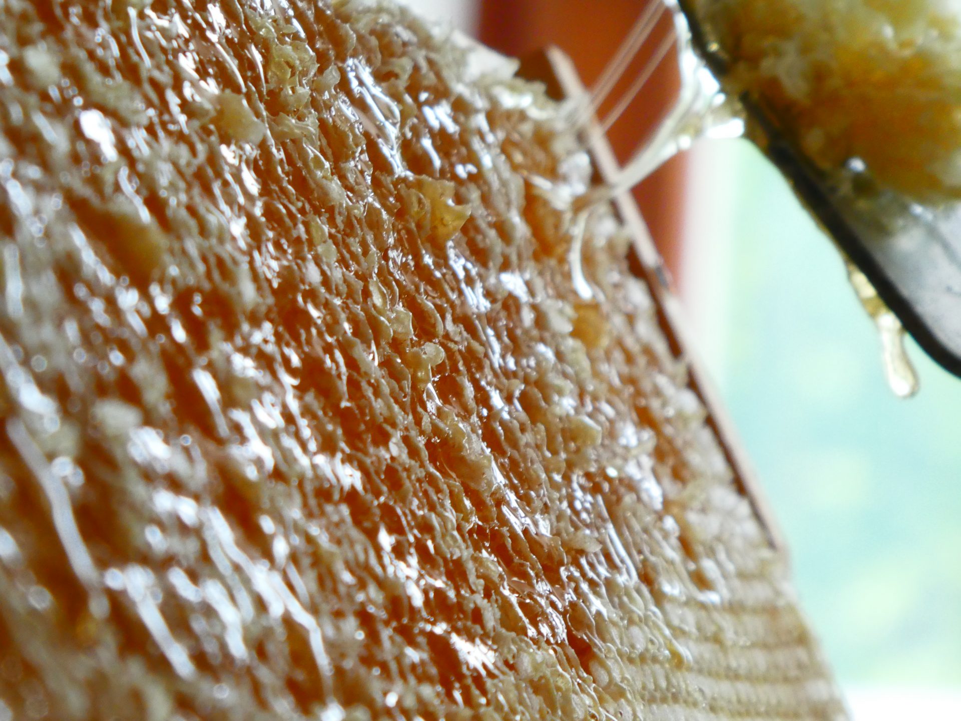 Honig schleudern: Entdeckelung Detail